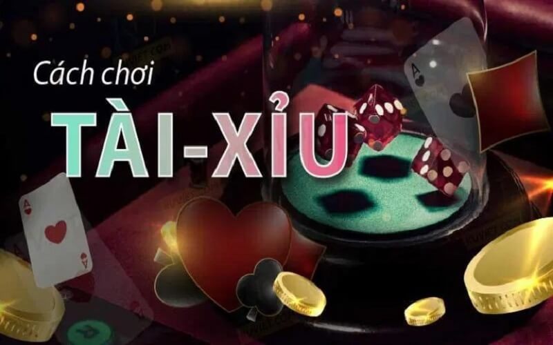 Cách đánh tài xỉu cho người mới bắt đầu